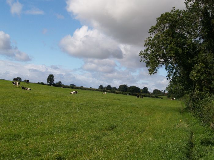 Circular walk Crakehall Village Crakehall Hall St Gregory's Church Bay ...