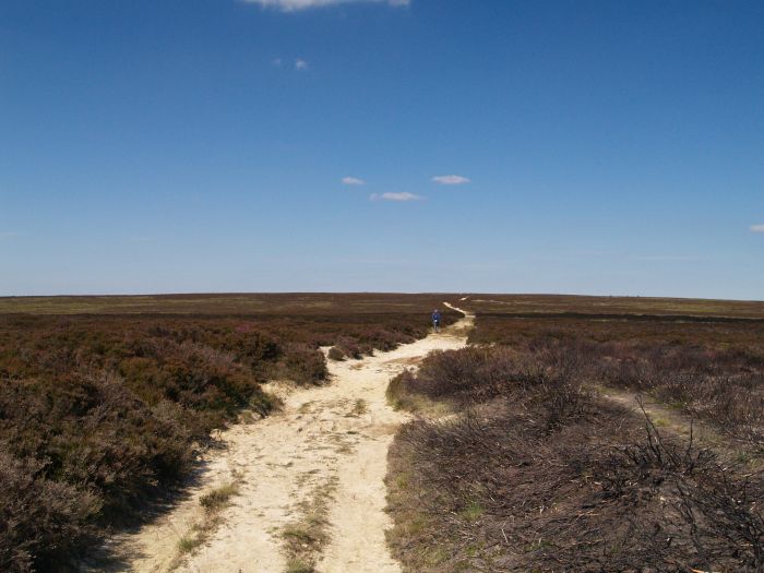 Lilla Howe Walk across Fylingdales Moor to Lilla Cross Jugger Howe lay-bye car ...