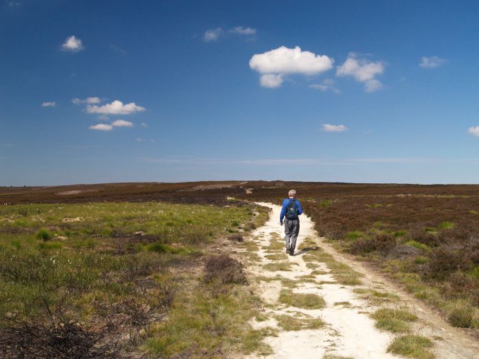Lilla Howe Walk across Fylingdales Moor to Lilla Cross Jugger Howe lay-bye car ...
